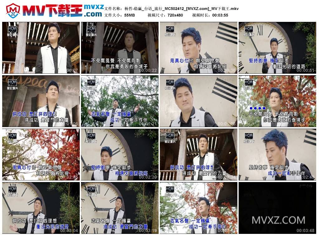杨哲-稳赢_台语_流行_MC502412